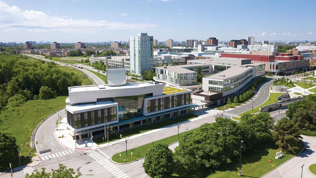 York University kampüsü